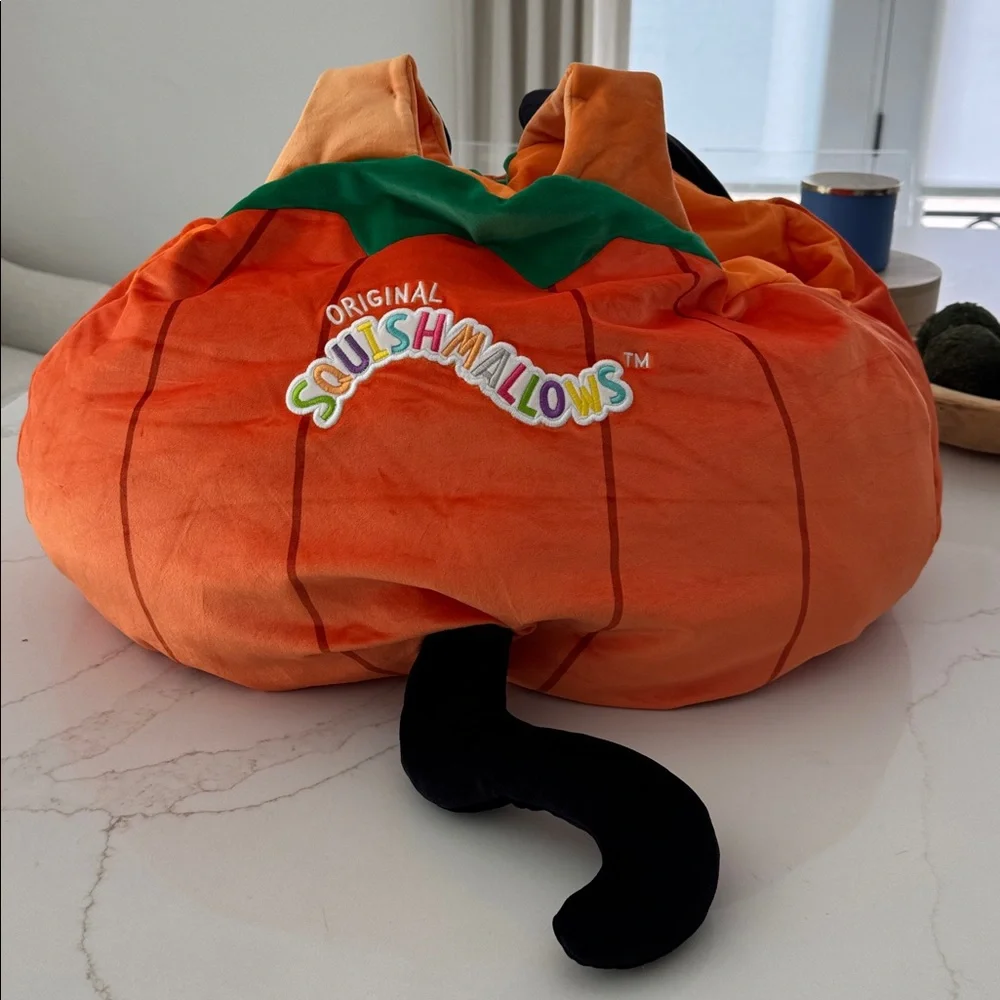 Squishmallows Youth Calio the Cat Halloween Costume One Size